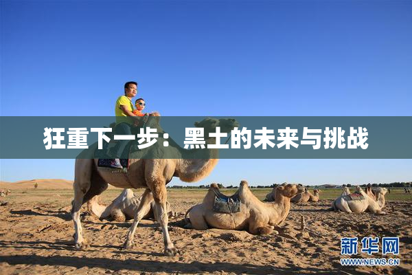 狂重下一步：黑土的未来与挑战