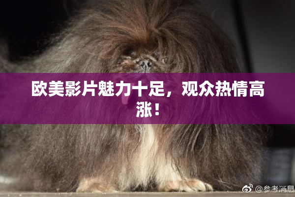 欧美影片魅力十足，观众热情高涨！