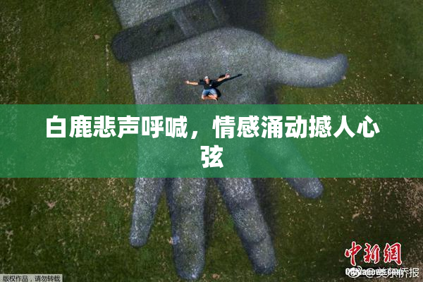 白鹿悲声呼喊，情感涌动撼人心弦