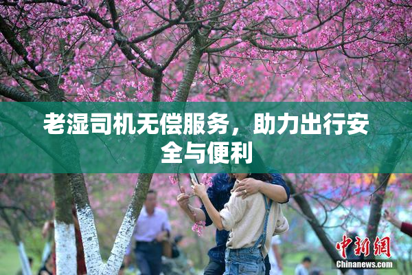 老湿司机无偿服务，助力出行安全与便利