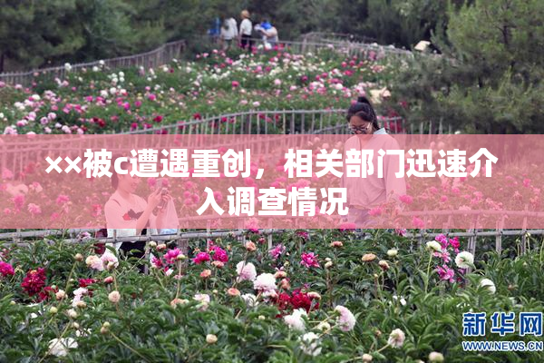 ××被c遭遇重创，相关部门迅速介入调查情况