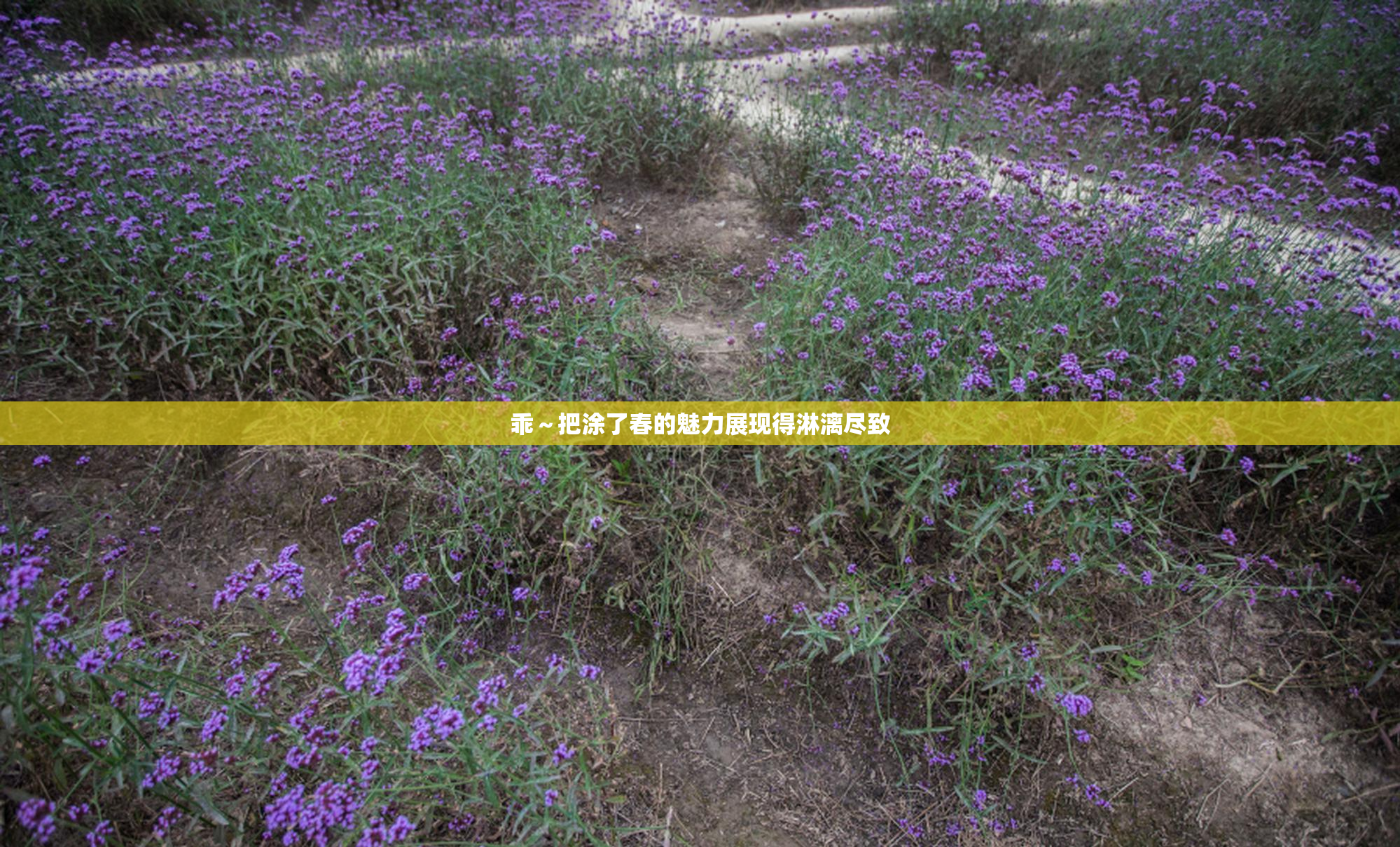 乖～把涂了春的魅力展现得淋漓尽致