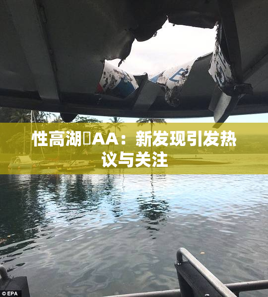性高湖婬AA：新发现引发热议与关注