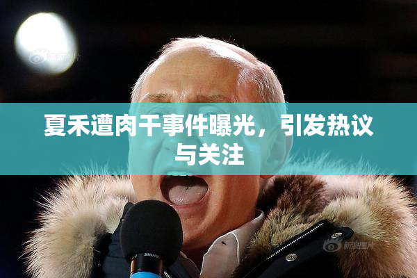夏禾遭肉干事件曝光，引发热议与关注