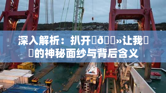 深入解析：扒开‌🐻让我❌‌的神秘面纱与背后含义