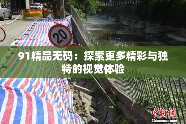 91精品无码：探索更多精彩与独特的视觉体验