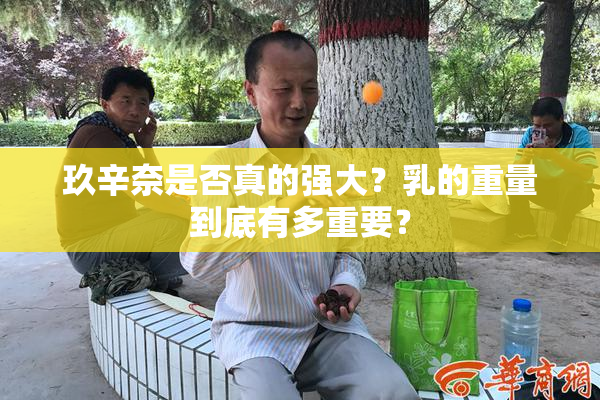 玖辛奈是否真的强大？乳的重量到底有多重要？