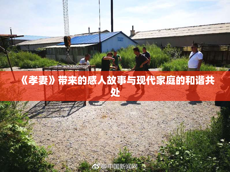 《孝妻》带来的感人故事与现代家庭的和谐共处