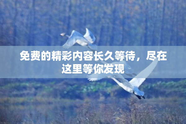 免费的精彩内容长久等待，尽在这里等你发现