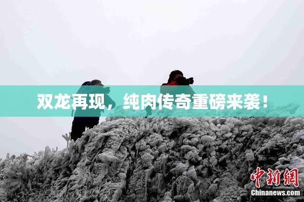 双龙再现，纯肉传奇重磅来袭！
