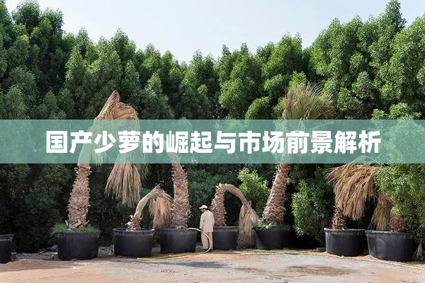 国产少萝的崛起与市场前景解析