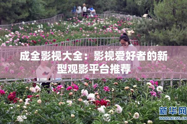 成全影视大全：影视爱好者的新型观影平台推荐