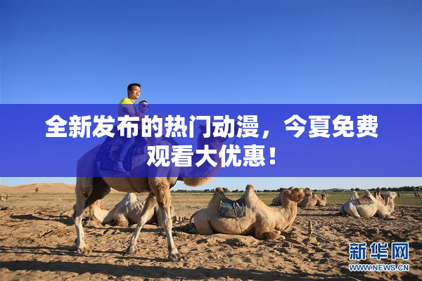 全新发布的热门动漫，今夏免费观看大优惠！
