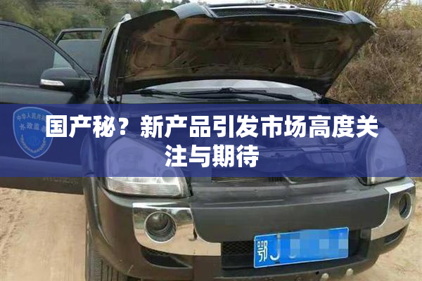 国产秘？新产品引发市场高度关注与期待