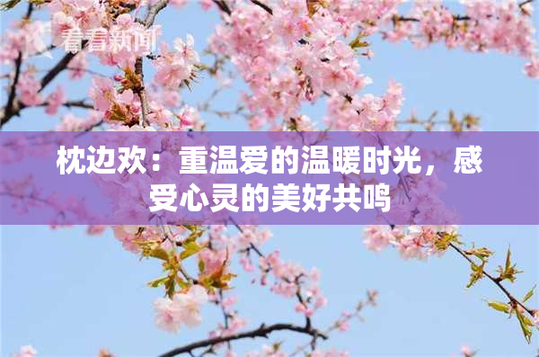 枕边欢：重温爱的温暖时光，感受心灵的美好共鸣