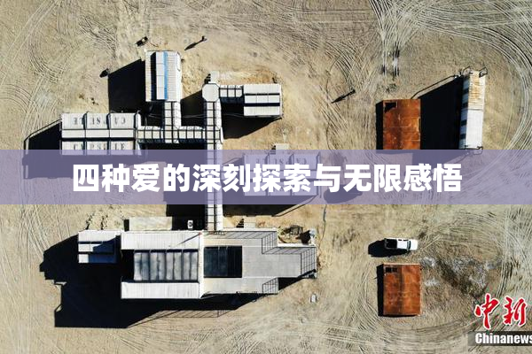 四种爱的深刻探索与无限感悟