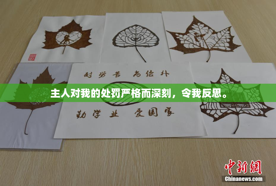 主人对我的处罚严格而深刻，令我反思。