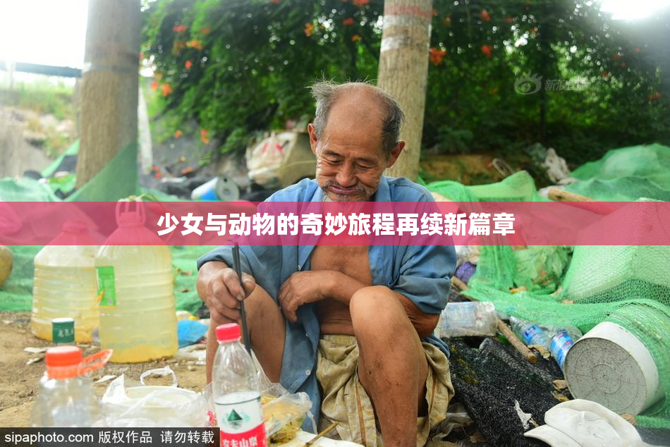 少女与动物的奇妙旅程再续新篇章