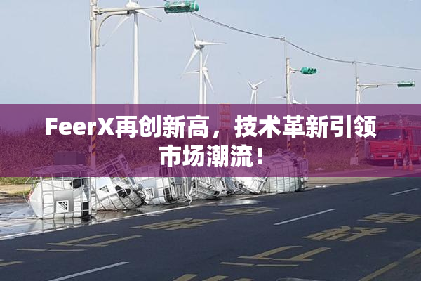 FeerX再创新高，技术革新引领市场潮流！