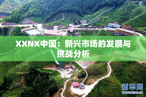 XXNX中国：新兴市场的发展与挑战分析