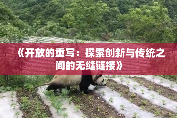 《开放的重写：探索创新与传统之间的无缝链接》