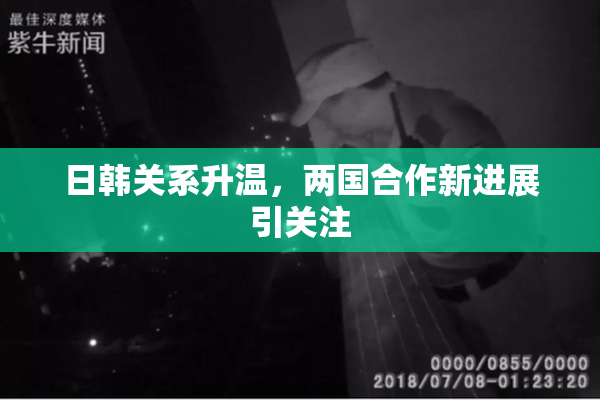 日韩关系升温，两国合作新进展引关注