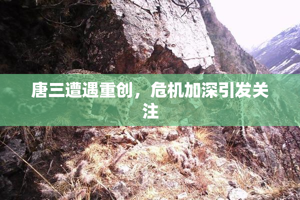 唐三遭遇重创，危机加深引发关注