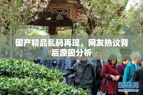 国产精品乱码再现，网友热议背后原因分析