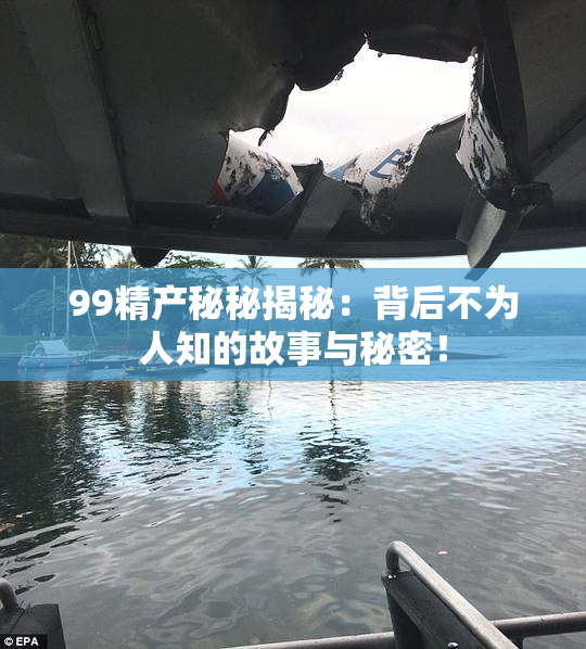 99精产秘秘揭秘：背后不为人知的故事与秘密！