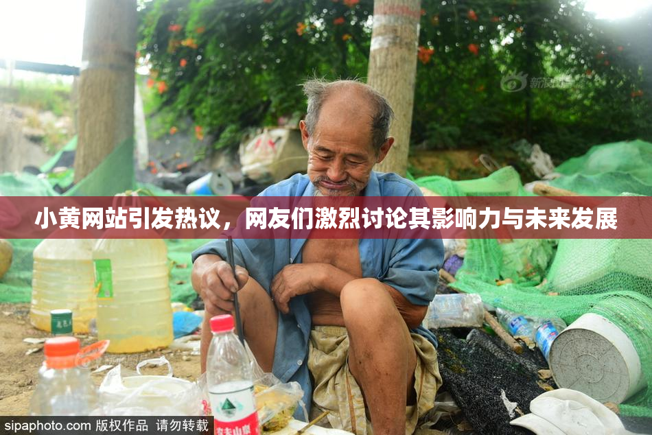 小黄网站引发热议，网友们激烈讨论其影响力与未来发展