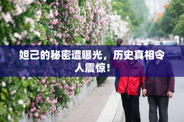 妲己的秘密遭曝光，历史真相令人震惊！