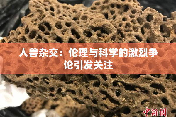 人兽杂交：伦理与科学的激烈争论引发关注