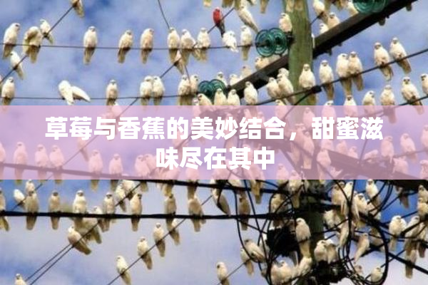 草莓与香蕉的美妙结合，甜蜜滋味尽在其中