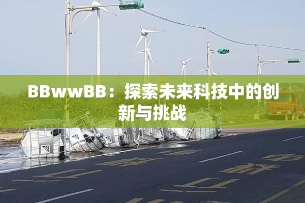 BBwwBB：探索未来科技中的创新与挑战