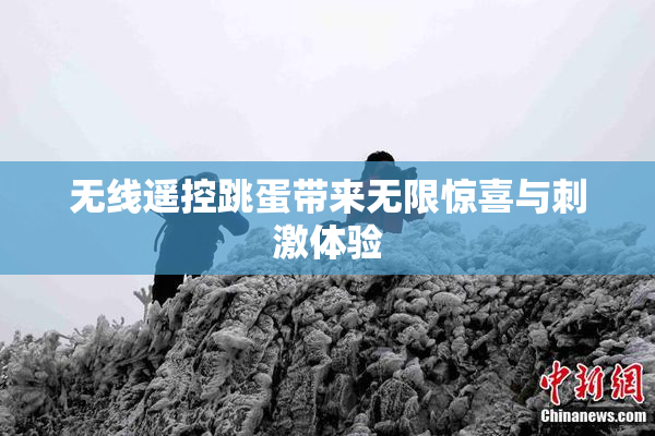 无线遥控跳蛋带来无限惊喜与刺激体验