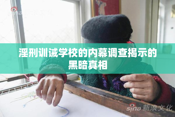 淫刑训诫学校的内幕调查揭示的黑暗真相