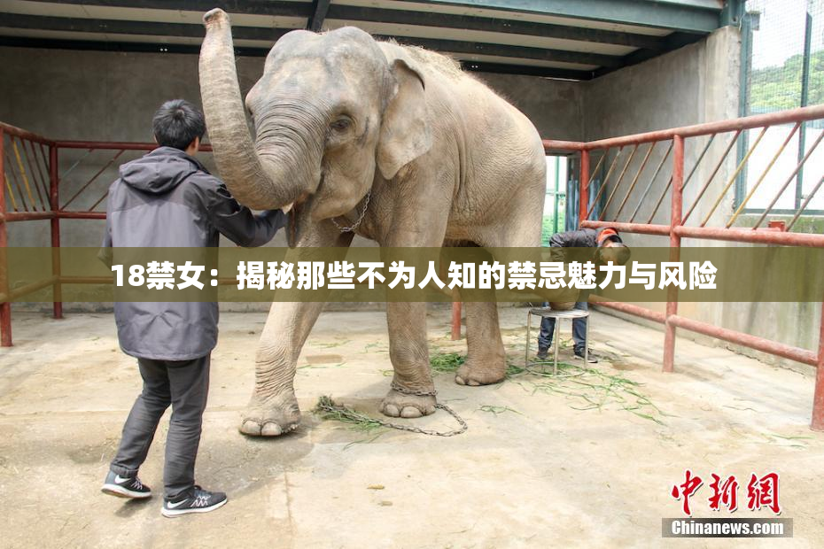 18禁女：揭秘那些不为人知的禁忌魅力与风险