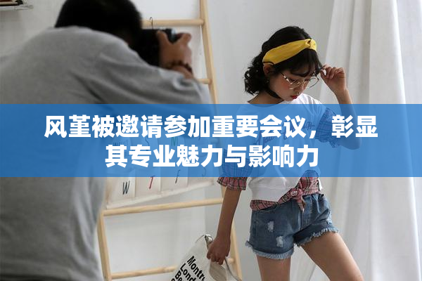 风堇被邀请参加重要会议，彰显其专业魅力与影响力