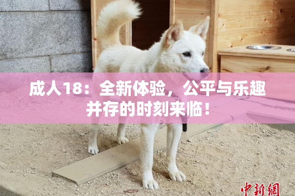成人18：全新体验，公平与乐趣并存的时刻来临！