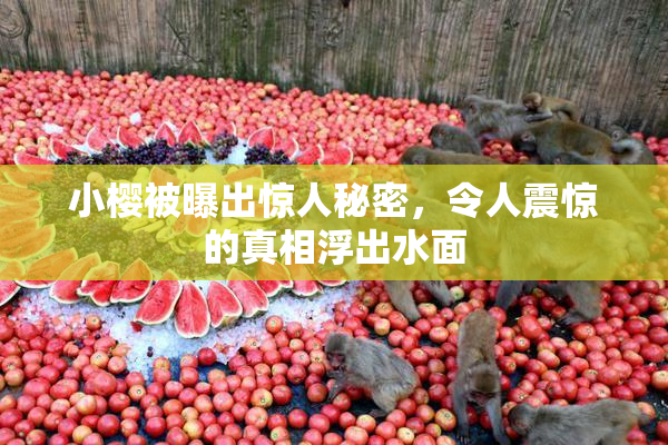 小樱被曝出惊人秘密，令人震惊的真相浮出水面