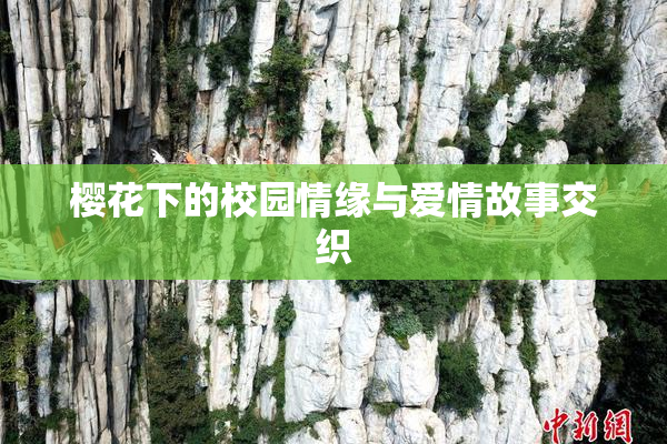 樱花下的校园情缘与爱情故事交织
