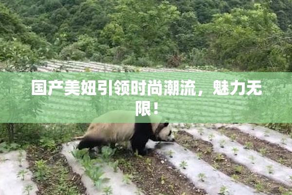 国产美妞引领时尚潮流，魅力无限！