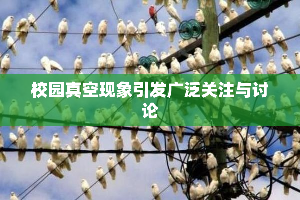 校园真空现象引发广泛关注与讨论