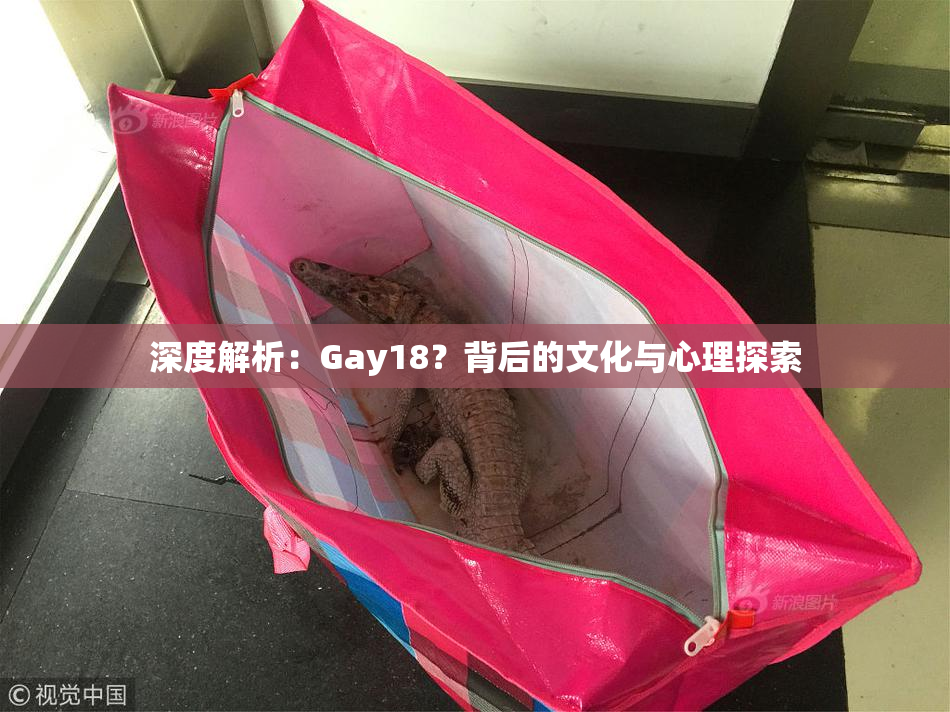深度解析：Gay18？背后的文化与心理探索