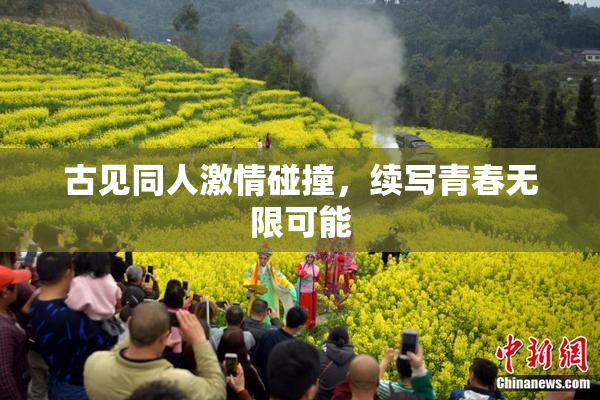 古见同人激情碰撞，续写青春无限可能