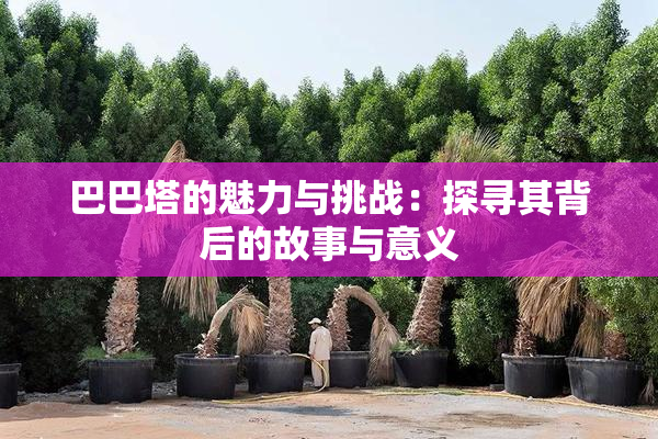巴巴塔的魅力与挑战：探寻其背后的故事与意义