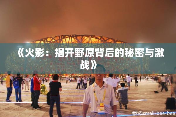 《火影：揭开野原背后的秘密与激战》