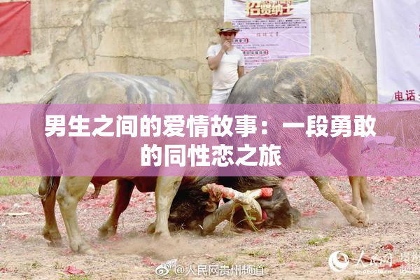 男生之间的爱情故事：一段勇敢的同性恋之旅