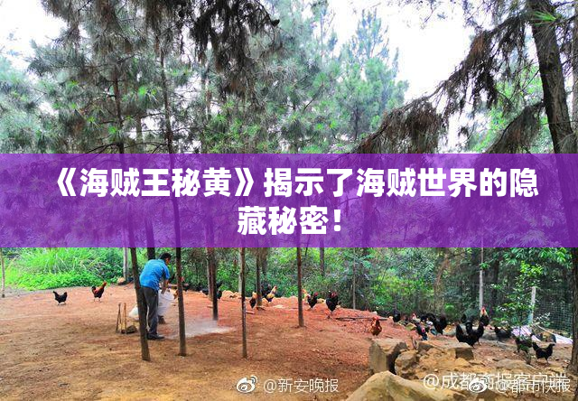 《海贼王秘黄》揭示了海贼世界的隐藏秘密！