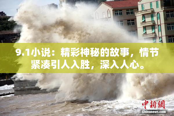 9.1小说：精彩神秘的故事，情节紧凑引人入胜，深入人心。